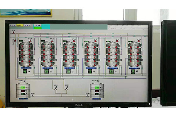 Ion Exchanger, Yin-Yang Bed Control System